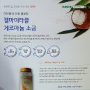 겔마미라클