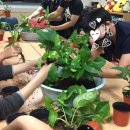 삼천포제일중학교 이미지