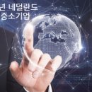혁신기업