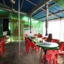 강촌역닭갈비 이미지