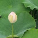 도장골농장 이미지