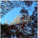 원주민원행정사사무소 이미지