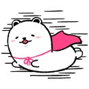 깐돌이네 애견미용호텔 이미지