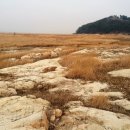 새만금바람길 이미지