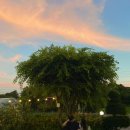 예스힐링민박 이미지