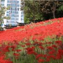 동춘당근린공원(2) 이미지