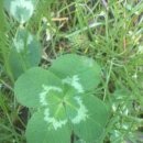 펌앤컷미용실 이미지