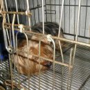 마더스약국 이미지