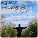 하늘노래소리 Ⅰ | 상암 하늘공원 서울 억새축제 2025 가을 나들이 데이트 난지천공원 주차