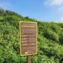 정유재란역사학습장 이미지