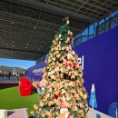 하람푸드 | 대전 아이랑 가볼만한 곳｜엑스포 시민광장 야외스케이트장 솔직 후기