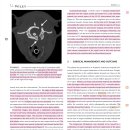 Oropharynx와 vertebral canal내 wooden stick으로 인해 tetraparesis가 온 case report 이미지