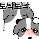 가넷제이 이미지