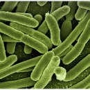 바이오 포스트 이미지