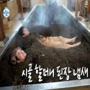 쑥이사랑