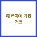 에코아이 이미지