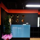 솔로라틴댄스 이미지