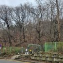 아랫배랭이 이미지