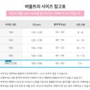버블