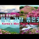 풍경사진 - 5월에 가장 좋은곳 이미지