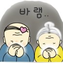 면역생활