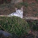 석원산업 | 대학교 1학년 1학기 후기