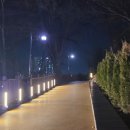 봄밤카페 - 창원시 마산합포구 해양관광로 15 | 봄밤카페