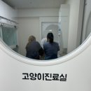 조이앤동물병원 이미지