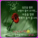 시원한바람 이미지