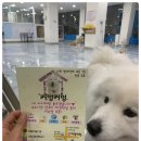 커멍커멍 이미지