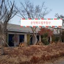 해변에서팬션
