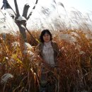 한가한오후 이미지