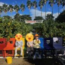 외딴농장 이미지