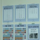 루시학원 | [수원] 망포 성인 취미 발레 토에르 발레학원 후기