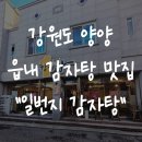 돈까스일번지 | 양양시내맛집 고민 끝 하조대 해변 근처 읍내 밥집 로컬 추천 일번지감자탕