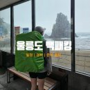 ㈜대상렌트카 | 울릉도 백패킹 총정리 | 4박 5일 일정, 경비, 준비 꿀팁 등 (+ 독도 정보)