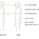 아리아요가&필라테스서울숲