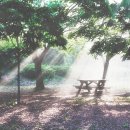 모두의 반찬 이미지