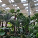 지티행정사사무소 이미지