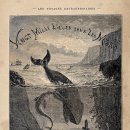 2단지책과비디오 이미지