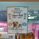 이지메디 이미지