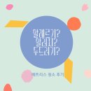 라퓨라홈케어고양파주점매트리스소파침대에어컨청소 | 피부질환일지 - 알레르기냐 알러지냐 두드러기냐 / 매트리스 청소까지 해본 후기