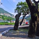 선인마을회관 이미지