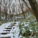 라파마을 이미지