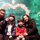 국제농기계남원대리점