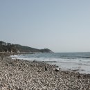 소나무식당 | 영종도 생선구이 맛집 소나무식당 방문후기