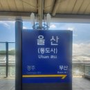 울산시립연구형어린이집 | [울산]_숲과 바다 ① (260418)