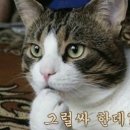 코우 이미지