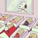 제천 연세미즈산부인과 제왕절개 후기_ 뽀니가 태어났어요 👶🏻🪽(출산일기 마지막🦔)
