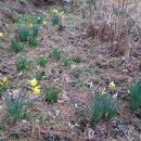 선화민박 이미지